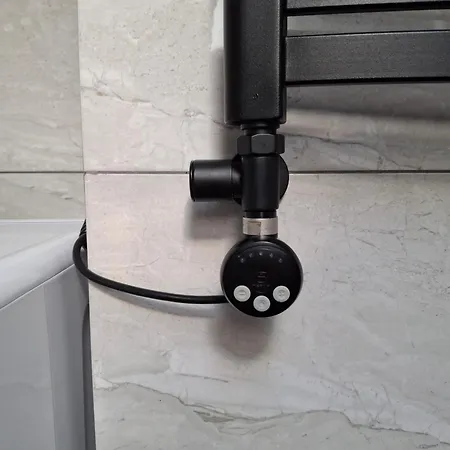 простора сімейна оселя у серці історичного міста поруч з ратушею & бічна з площею ринок кухня-студія та спальня *