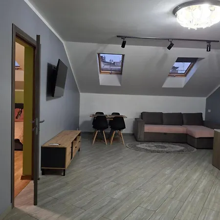 простора сімейна оселя у серці історичного міста поруч з ратушею & бічна з площею ринок кухня-студія та спальня Appartement Lviv