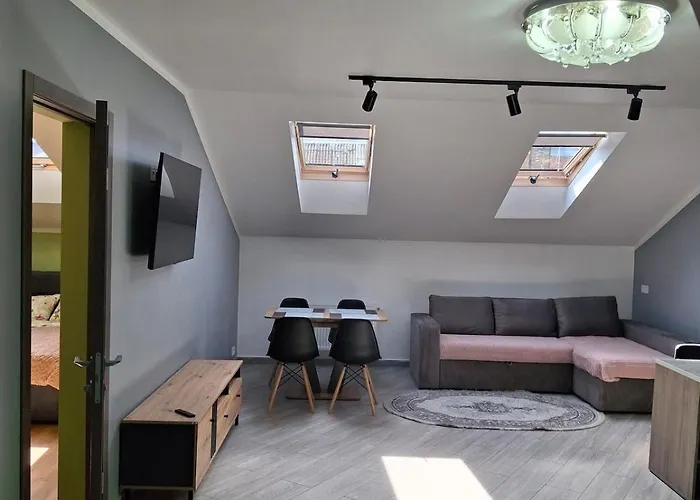 Апартаменты простора сімейна оселя у серці історичного міста поруч з ратушею&бічна з площею ринок кухня-студія та спальня Львов