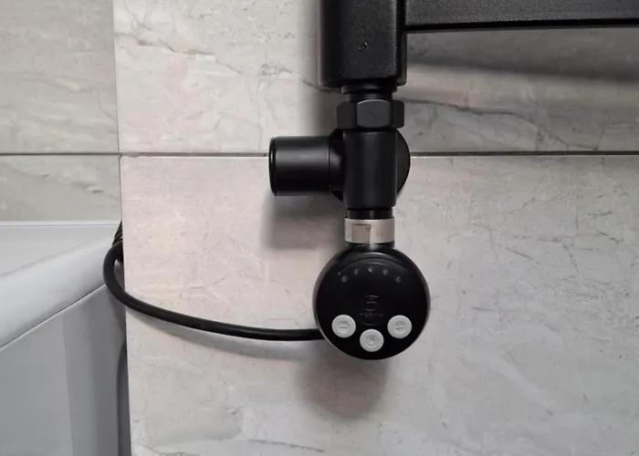 простора сімейна оселя у серці історичного міста поруч з ратушею&бічна з площею ринок кухня-студія та спальня *